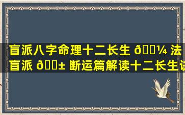 盲派八字命理十二长生 🐼 法「盲派 🐱 断运篇解读十二长生诀断关口」